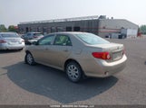 Toyota Corolla S/Le/Xle 2T1BU4EE1AC333503 снимка