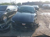 Cadillac Ct4 Premium Luxury 1G6DF5RK1R0114042 снимка