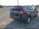 Honda Cr-V Ex 2HKRM4H57FH114754 снимка