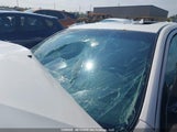 Ford Fusion Sel 3FAHP0JA6AR391734 снимка