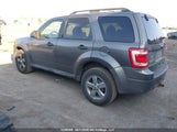 Ford Escape Xlt 1FMCU0DGXAKB49168 снимка