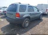 Ford Escape Xlt 1FMYU03115KA06246 снимка