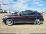 Infiniti Ex35 Journey JNKAJ09F98M358838 fotografie