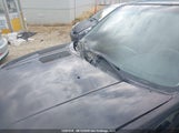Ford Escape Limited 1FMCU94156KD12798 снимка