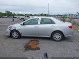 Toyota Corolla S/Le/Xle 2T1BU4EE9AC443960 снимка
