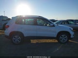 Volkswagen Tiguan S/Se/Sel/R-Line WVGJV3AX1EW539679 fotografie