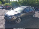 Kia Forte Ex KNAFU5A20B5446907 снимка