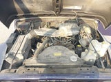 Jeep Wrangler / Tj Se 1J4FY29P5VP435491 fotografie