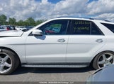 Mercedes-Benz Ml 350 Bluetec 4JGDA2EB5FA507690 снимка