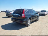 Honda Cr-V Ex 5J6RE4H5XBL826091 снимка