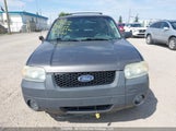 Ford Escape Xlt 1FMYU93165KD61529 снимка