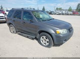 Ford Escape Xlt 1FMYU93165KD61529 снимка