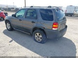 Ford Escape Xlt 1FMYU93165KD61529 снимка