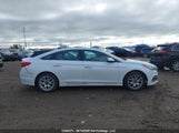 Hyundai Sonata Sport/Limited 5NPE34AF9FH111665 fotografie