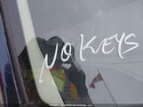 Mazda 3 Gs JM1BN1V71J1181434 снимка