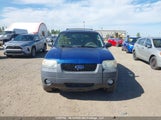 Ford Escape Xlt 1FMYU03197KA08975 снимка