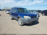 Ford Escape Xlt 1FMYU03197KA08975 снимка