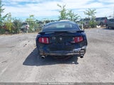 Ford Mustang 1ZVBP8AM5C5245885 снимка
