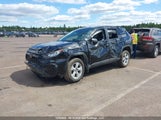 Toyota Rav4 Xle 2T3R1RFV5KC017159 снимка