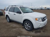 Ford Escape Xlt 1FMCU9DG7BKA23520 fotografie