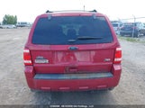 Ford Escape Xlt 1FMCU0DG4BKC00729 снимка