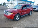 Ford Escape Xlt 1FMCU0DG4BKC00729 снимка