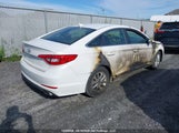 Hyundai Sonata Gl 5NPE24AF3GH336149 снимка
