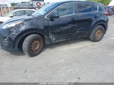 Kia Sportage KNDPM3AC3K7537436 снимка