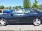 Honda Accord 1HGCM66546A802952 снимка