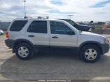 Ford Escape Xlt 1FMYU041X2KA49008 снимка