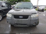 Ford Escape Xlt 1FMYU03175KA64510 снимка