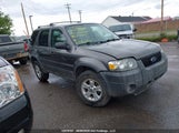 Ford Escape Xlt 1FMYU03175KA64510 снимка