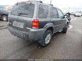 Ford Escape Xlt 1FMYU03175KA64510 снимка