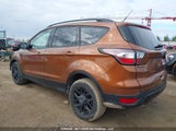 Ford Escape Titanium 1FMCU0J9XHUD88885 снимка