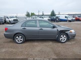 Toyota Corolla Ce/Le/S 2T1BR32E17C803232 fotografie