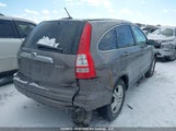 Honda Cr-V Exl 5J6RE4H74BL819185 снимка