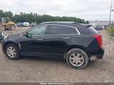Cadillac Srx Luxury Collection 3GYFNDEY9BS627528 снимка