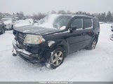 Honda Pilot 5FNYF4H42AB503743 снимка