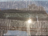 Toyota 4Runner JTENU5JRXP6183186 снимка