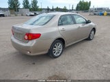 Toyota Corolla S/Le/Xle 2T1BU4EE0AC200280 снимка