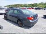Toyota Corolla 2T1BU40E39C048126 fotografie