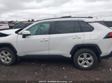 Toyota Rav4 Le 2T3B1RFV9KC003783 снимка