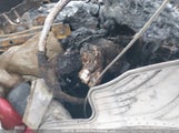 Honda Civic 2HGFE2F55PH112598 снимка