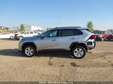 Toyota Rav4 Xle 2T3R1RFV4KC029898 снимка