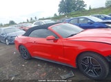 Ford Mustang Convertible 1FATP8UH7K5171055 снимка