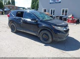 Honda Cr-V Lx 2HKRW2H2XHH116392 снимка