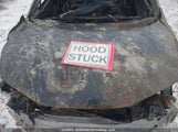 Honda Civic Exl 2HGFG3B94EH002664 снимка