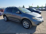 Nissan Murano S/Sl/Sv/Le JN8AZ1MWXEW515059 fotografie