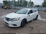 Nissan Altima 1N4AL3AP4JC239369 снимка