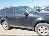 Ford Escape Xlt 1FMCU9DG0BKA95143 снимка